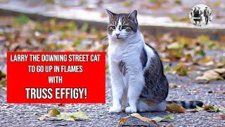 Larry the Downing Street Cat - One week under Rishi & he is set to go up in flames with Truss Effigy