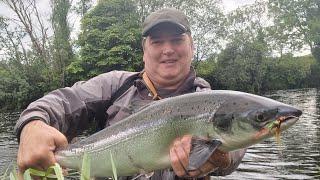 Summer Salmon fishing in Ireland  2025 (Bars Of Silver )