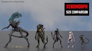 XENOMORPH Size comparison 3D | Alien Xenomorph 3d Animation Size Comparison