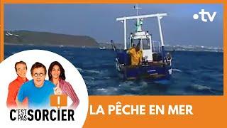 LA PÊCHE EN MER : Du filet à la criée - C'est pas sorcier [Intégrale]