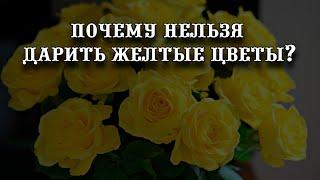 Приметы и суеверия: почему нельзя дарить желтые цветы