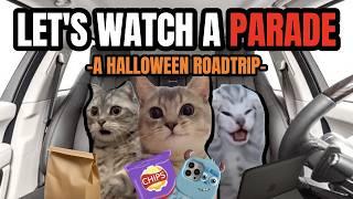 Cat MEMES: LET'S WATCH A PARADE