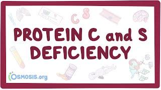 Protein C and S deficiency - causes, symptoms, diagnosis, treatment, pathology