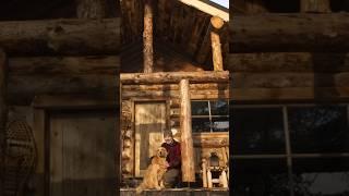 From Forest to Shelter: Captivating Time-lapse of a Solo Log Cabin Build in the Wilderness