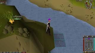 (OSRS) Loot From Catching Raw Salmon