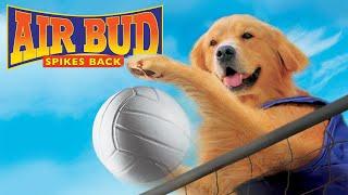 AIR BUD: SPIKES BACK - Official Movie