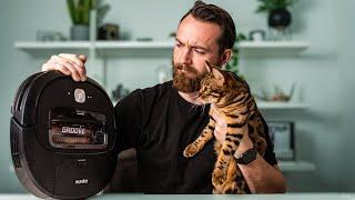 Bengal Cat REACTS To ROBOT VACUUM!! And a big GIVEAWAY!!