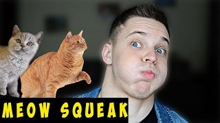 MEOW SQUEAK КАК ДЕЛАТЬ? ШКОЛА БИТБОКСА