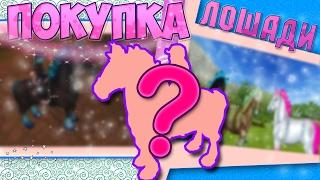 Star Stable на русском / ПОКУПКА ЛОШАДИ/ Koda