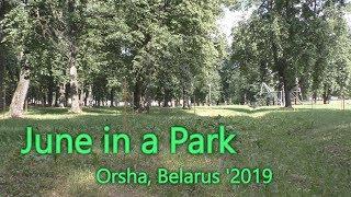 June in a Park. Orsha, Belarus '2019