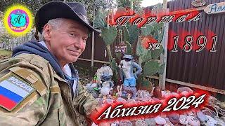 #Абхазия2024  25 декабря. Выпуск №1891Погода от Серого Волкавчера +22°ночью +14°море +12,6°