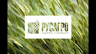 Группа Компаний «РУСАГРО» (Rusagro Group).