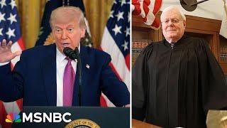 'Have we no shame?': Reagan-appointed judge fast-tracks cases against Trump’s executive orders
