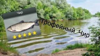 My fishing world | Поймал трофейного Чира.