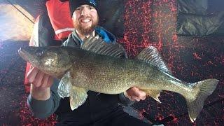 Team Hawg Hunterz Trailer 2016 Walleyes, Pike, Bass, Muskie