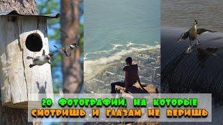 20 фотографий, на которые смотришь и глазам не веришь!