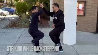 XYD Shoulder strike drills