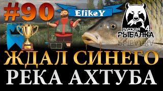 Огромный Сазан! • Взял 3 Трофея • Фарм 2.000 монет за 3 часа • Река Ахтуба • Русская Рыбалка 4 #90