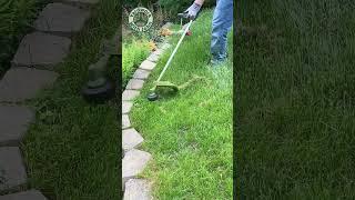 Weed Whacking the Edge of my Neighbors Retaining Wall