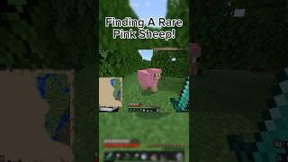 Finding A Rare Pink Sheep That Has A 0.164% Chance If Spawning In Minecraft! #minecraft #pinksheep