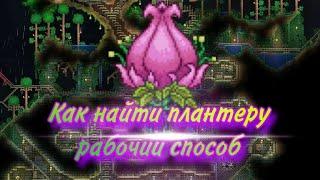 Terraria как найти плантеру рабочий способ