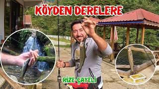 RİZE DERESİNDE BALIK AVI #fishing #balikavi #rize