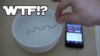 WTF Paperclip!? (Nitinol)