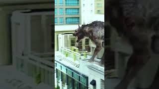 Gpic Monster | Animal 720p HD WhatsApp status video