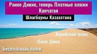 Платные пляжи на Капчагайском водохранилище. Дикие пляжи Капчагая. Казахстан, 2024 год.