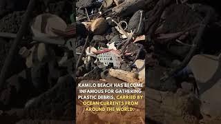 Have you seen the Plastic Beach?