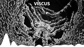 Riots Revenge - VISCUS