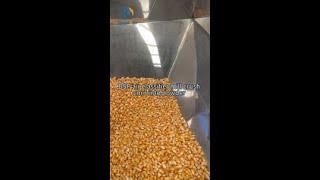 crush corn into powder from Brightsail BSP-750 air classifier mill