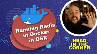 Running Redis in Docker in OSX