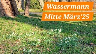 Wassermann️ Mitte März'25- 2️⃣ Prüfungen - am Ende erwartet euch die Belohnung ️️