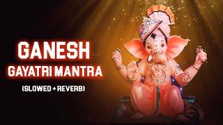 Ganesh Gayatri mantra lofi version | Ganpati Lofi  Slow and Reverb | ek dantaya vakratundaya