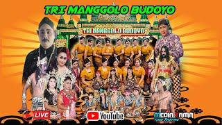 LIVE STREAMING MALAM TRI MANGGOLO BUDOYO // DS. PENGKRIK  KEC. BANJAREJO // MEDIA TAMA CLASIK AUDIO