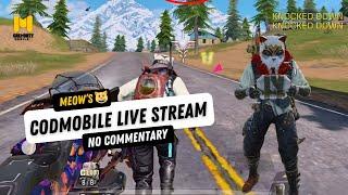 MEOW'S  CALL OF DUTY MOBILE LIVE STREAM (NO COMMENTARY) | ROY THE CRAZY | CODMBOBILE | CODM