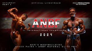  ANBF 2024 | Natural Elite Pro | Men's Bodybuilding | Mixed Pairs