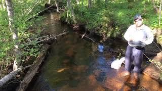 Gold panning and exploration in the Arctic Circle