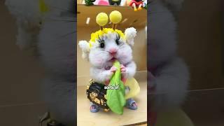 Will a hamster be given as a gift when you buy a courier #hamsters #cute #animals #lovestory