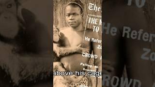 The untold story of OTA Banga African Pygmies In Colonies Zoos #cosmosupdates #Pygmies #shorts