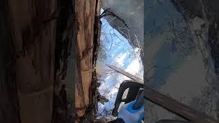 #arborist #arboristofinstagram #climbingarborist #ropeaccess  #treeclimber