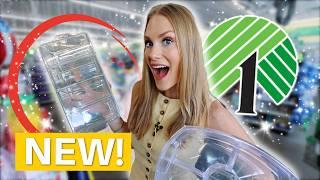 Dollar Tree *Just Dropped* NEW Organizing Products!  (Pantry Makeover Inside!)