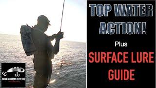 Top Water Action With Surface Lure Guide