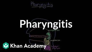 Pharyngitis | Respiratory system diseases | NCLEX-RN | Khan Academy