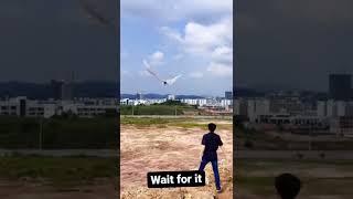 new bird video | robot birds video | beautiful birds status video |  birds #shorts | instagram reels