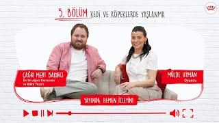 Hayvan Beslenmesinde Bilimsel Gerçekler | Kedi ve Köpeklerde Yaşlanma (5. Bölüm)