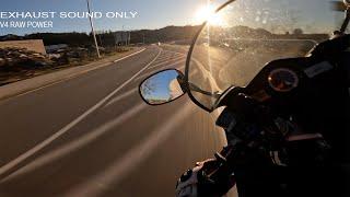 Honda VFR 800 VTEC  - Brutal V4 sound (RAW Onboard)