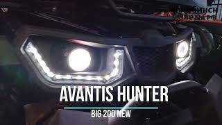 Avantis Hunter Big