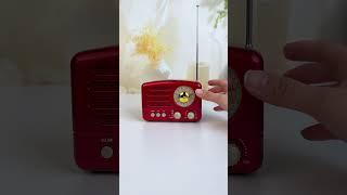 Grandpa-approved tech! Simple knobs, no confusing buttons,and a nostalgic design for all!#prunusj160
